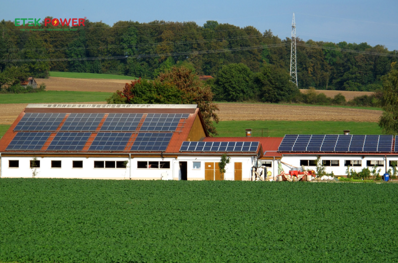 Điện Mặt Trời Cho Trang Trại: Hướng Dẫn Đầy Đủ Năm 2025