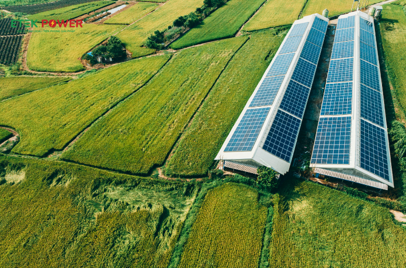 Điện Mặt Trời Cho Trang Trại: Hướng Dẫn Đầy Đủ Năm 2025